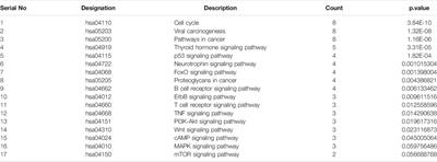 Identification of Epigenetically Modified Hub Genes and Altered Pathways Associated With Retinoblastoma